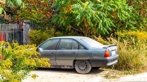 If Your Car Could Speak, What Would It Say About You?