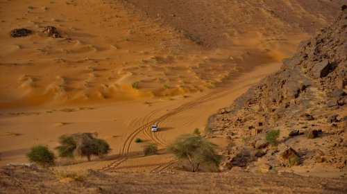 Here's How A French Rally Driver Won The First Paris-Dakar In A Range Rover