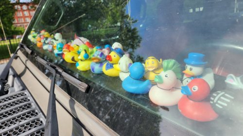 These Car Accessories Seem Like A Terrible Idea, And Consumer Reports Usually Agrees