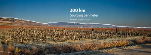 Stellantis turns waste vine fibres into interiors material