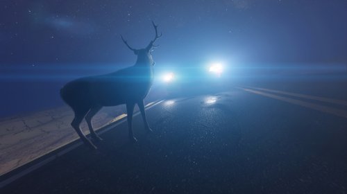 HID Vs. LED Headlights: Differences In Brightness And Lifespan