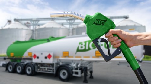 6 Disadvantages Of Biodiesel You Should Know Before Switching Fuel Types