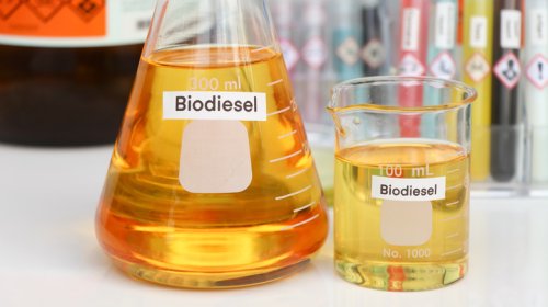Does Biodiesel Have A Shelf Life? Here's How Long It Can Be Stored