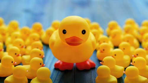 Don't Want People Putting Ducks On Your Jeep? Here's What To Do