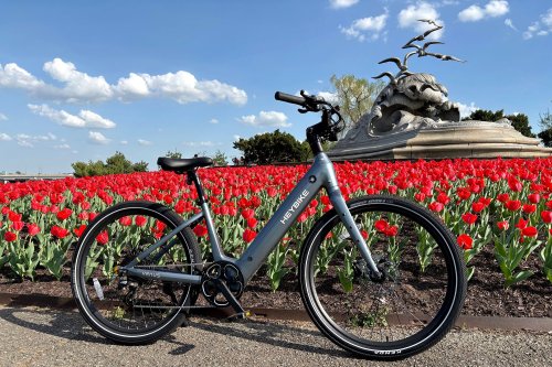 Riding this comfortable e-bike won’t drain your energy or your wallet