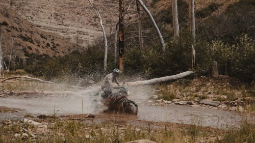 Royal Enfield Sold a Metric Ton Of These Entry-Level Off-Roaders, And It's Completely Unsurprising