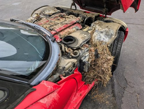 Dodge Viper Spent 28 Years Mounted on a Pole — Here's What They Discovered When It Finally Came Down