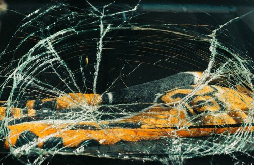 Honda's Rear Windows Keep Shattering For No Reason. Honda Found A Legal Word That Isn't 'Recall.'