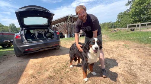 In 2026, every automaker needs a real pet mode before parked cars turn deadly