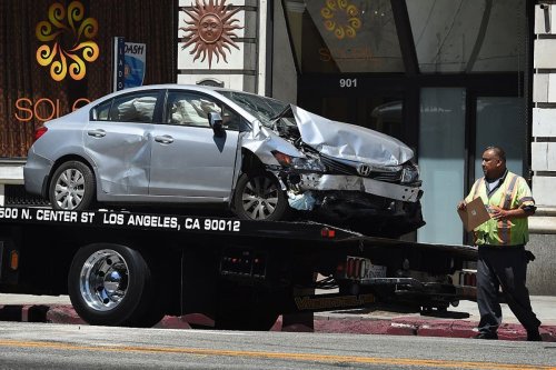 Drivers filed 1.7 million animal-collision insurance claims from 2024 to 2025