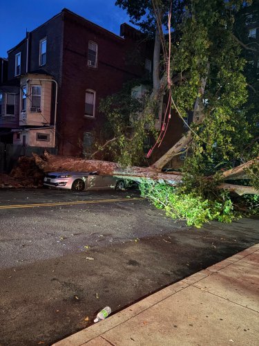 If a tree falls on your car in Philadelphia, who foots the bill?