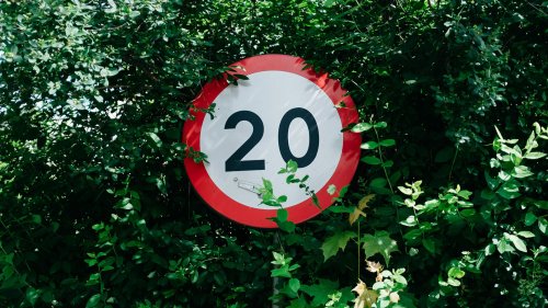 Bush it to the limit! One in five drivers blame a speeding fine on hedges