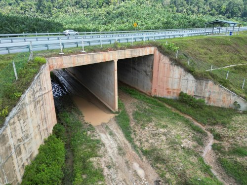 Works ministry to expand collaboration with NRES in an effort to improve wildlife protection in Malaysia
