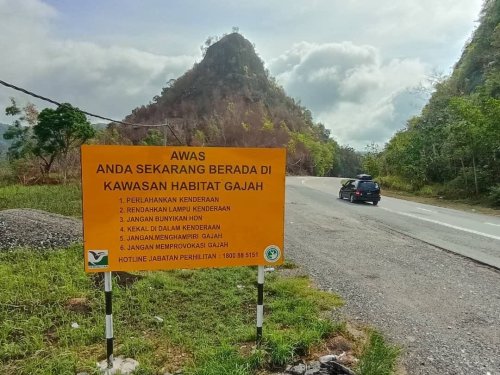 Works ministry to expand collaboration with NRES in an effort to improve wildlife protection in Malaysia