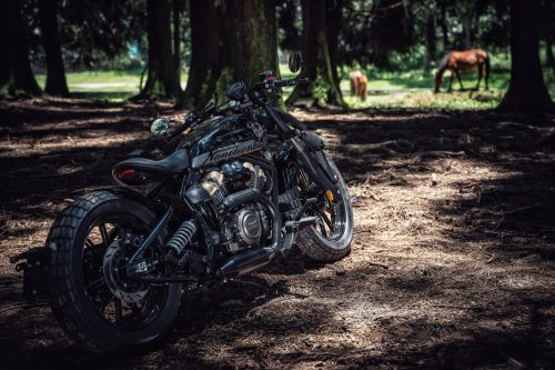 2025 Benda Napoleon Bob 250, priced at RM20,888