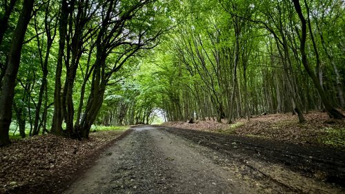 BMW Motorrad R12 G/S selected for GS Trophy 2026