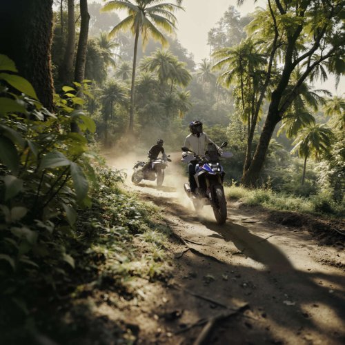 BMW Motorrad F450 GS launched, 48 hp, auto clutch