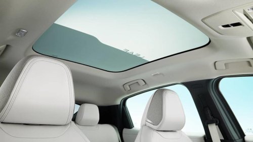 Nissan, Nissan Leaf, Nismo, Nissan Leaf Nismo May Force Buyers To Choose Between ProPilot and a Glass Roof