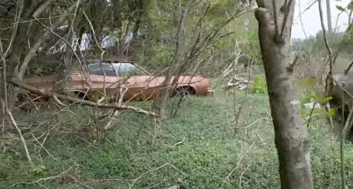 There Are 4000 Vehicles Hidden On This Property