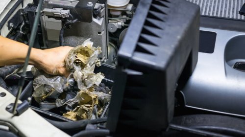 There Can Be Some Terrifying Stuff In Your Car's Air Filters