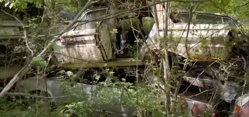There Are 4000 Vehicles Hidden On This Property