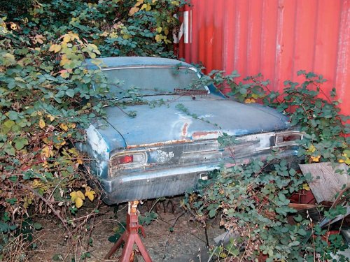 I See Dead Cars: A Mailman's Daily Trip Down Memory Lane