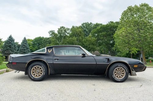 1979 Pontiac Firebird Trans Am Special Edition for Sale With 54,000 Miles