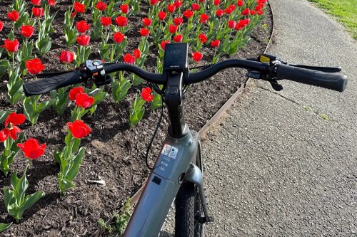 Riding this comfortable e-bike won’t drain your energy or your wallet