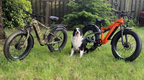 Good Dogs! Puckipuppy’s Labrador And GoldenR Pro E-bikes Love To Play