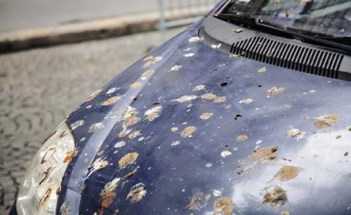 Top 10 Expert Detailing Tips on Keeping Your Car Looking New