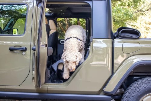 Jeep, Jeep Gladiator, Jeep Gladiator Review: The Jeep-est Truck Is A Solid Pick For Dog Owners