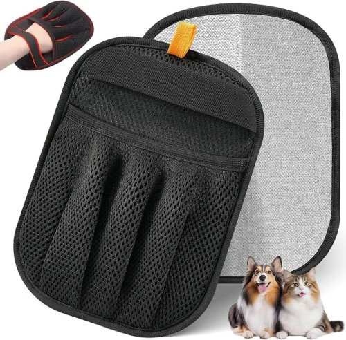 10 Car Essentials Every Dog Owner Needs