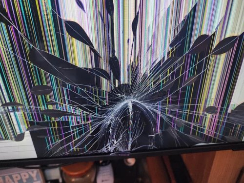 15 Photos Where Someone Has to Pay for That, and I’m Glad It’s Not Me