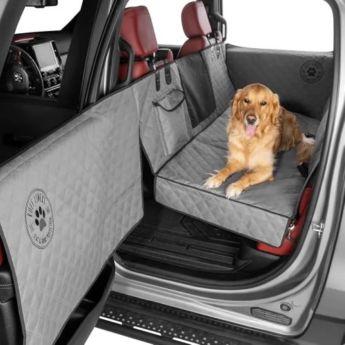 10 Car Essentials Every Dog Owner Needs