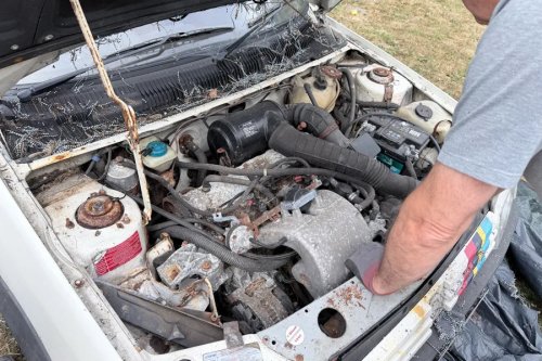 Our 205 GTi survived 10 years outside – but what do we do with it?