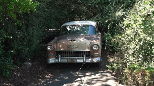 Abandoned '55 Chevy Wagon Has Been Sitting Since 1982 — Will It Run Again?