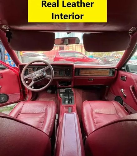 1982 Ford Mustang Notchback For Sale