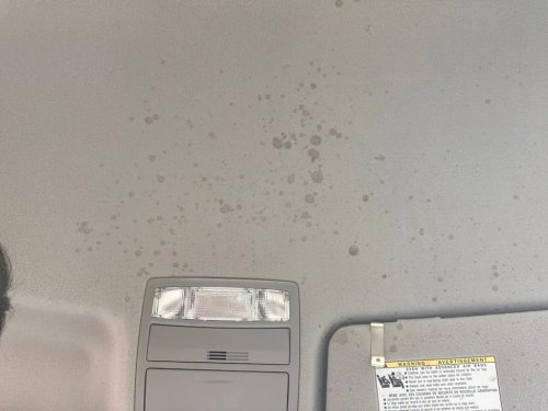 A Coke Blew Up In My Car. We Used Our Favorite Upholstery Cleaner to Fix It