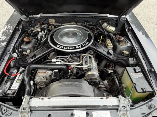 Ford, Ford Mustang, Ford Mustang GT, Ford GT, 1984 Ford Mustang GT Convertible for Sale With 37,000 Miles Shown