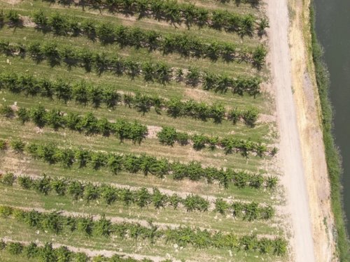 Tractor Rollovers: Real-World Lessons to Keep Farmers Alive