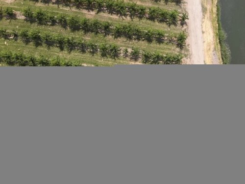 Tractor Rollovers: Real-World Lessons to Keep Farmers Alive