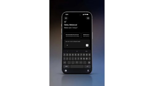 Ford, Ford’s New AI Assistant Can Read Your Car’s Manual And Diagnostics