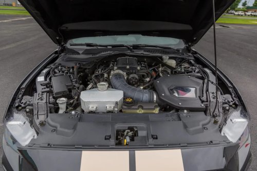 Ford, Ford Mustang, 2019 Ford Mustang Shelby GT-H For Sale With 10,000 Miles