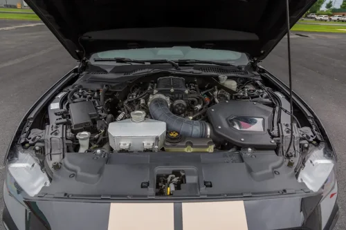 Ford, Ford Mustang, 2019 Ford Mustang Shelby GT-H For Sale With 10,000 Miles