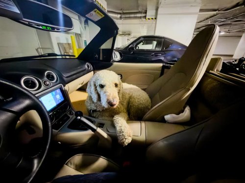 Mazda, A Not-So-Long List Of All The Unexpected Stuff I Fit In My Old Mazda Miata