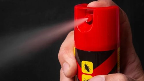 7 Common Objects That You Might Leave In A Hot Car That You Really Shouldn't