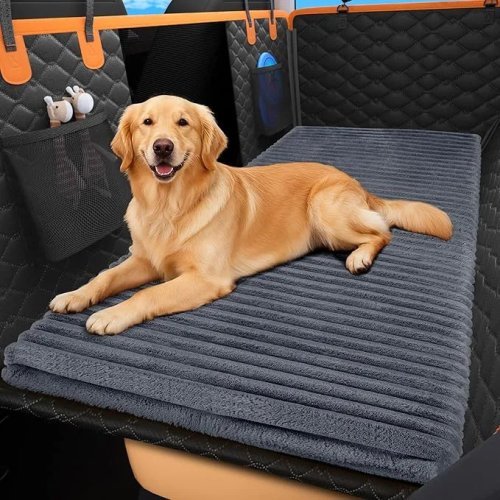 10 Car Essentials Every Dog Owner Needs