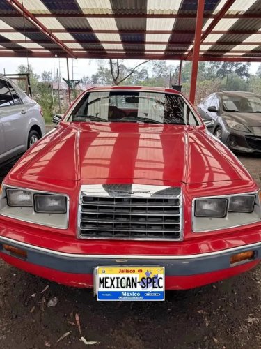 1985 Ford Thunderbird For Sale