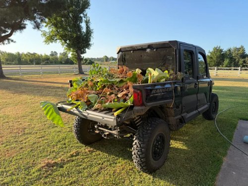 Buckets, Blooms, and Beast Mode: Life on the Farm with the 2026 Polaris RANGER XD 1500 NorthStar Texas Edition