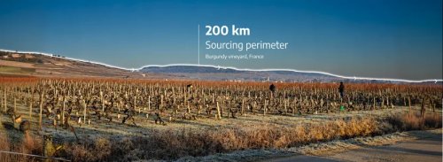 Stellantis, Stellantis turns waste vine fibres into interiors material